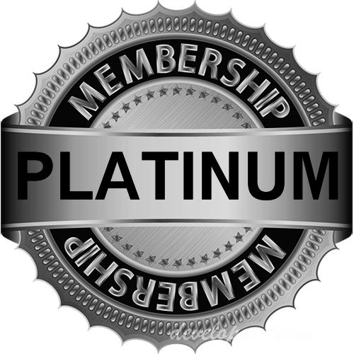 Partner Platinum de Hikvision